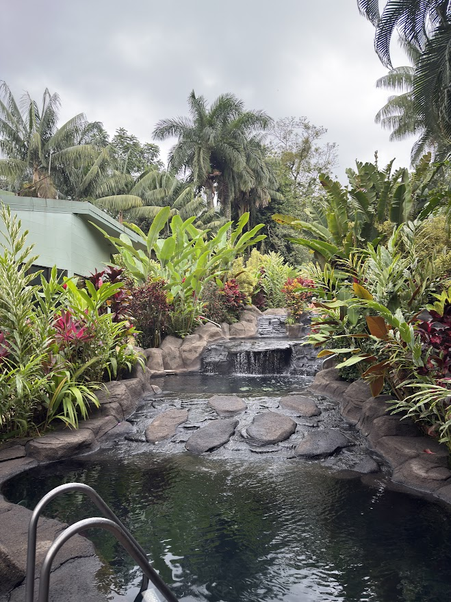 Sources d'eau chaude du volcan Arenal