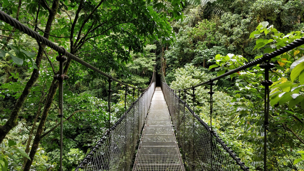 Ponts suspendus Mistico Park