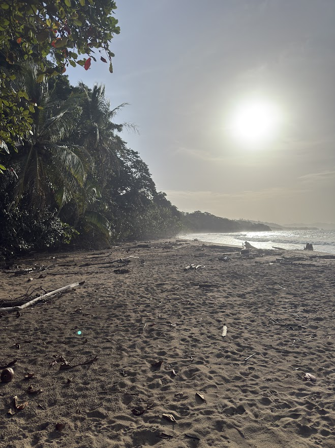 Playa Punta Uva