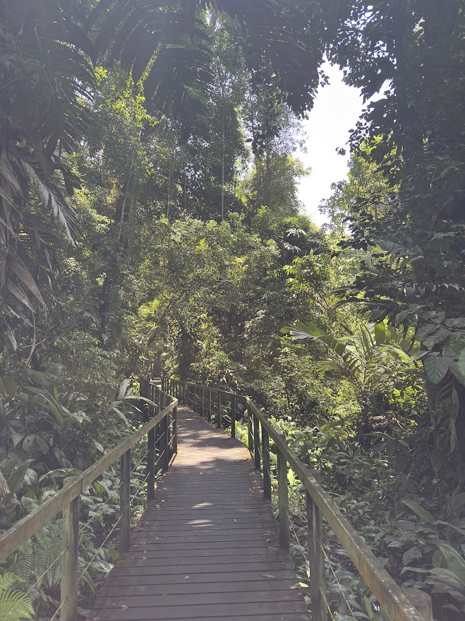 Parc national de Cahuita côté Puerto Vargas